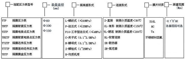 隔膜壓力表(圖1)